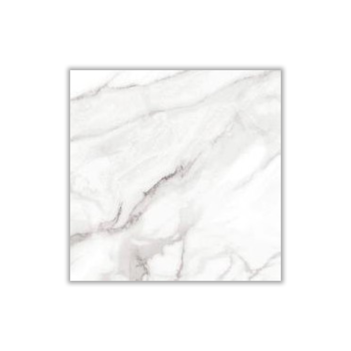 GWH-856 - 40x40 cm, Whitebody, 15, ‌BIIa (3-6%), Matt
