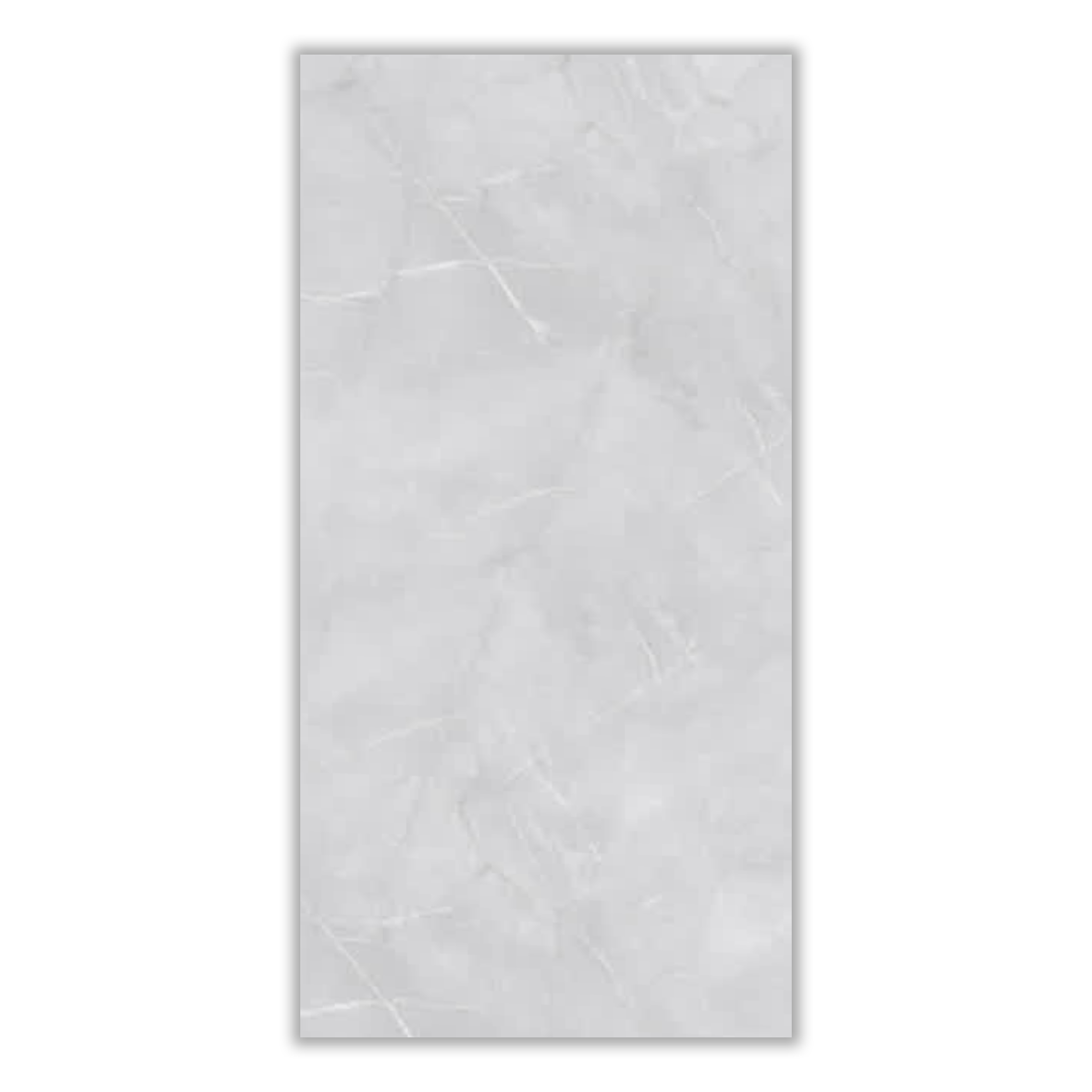Borna - 60x120 cm, Whitebody, 9.5, ‌BIIa (3-6%), Glossy