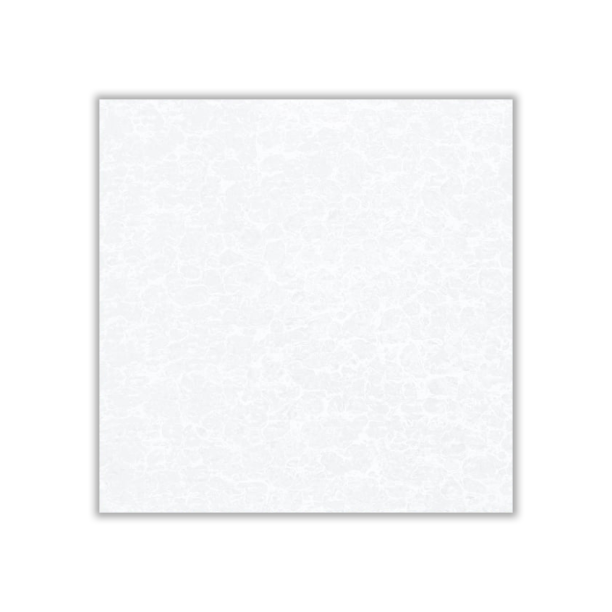 Aras - 60x60 cm, Whitebody, 10, ‌BIIa (3-6%), Glossy