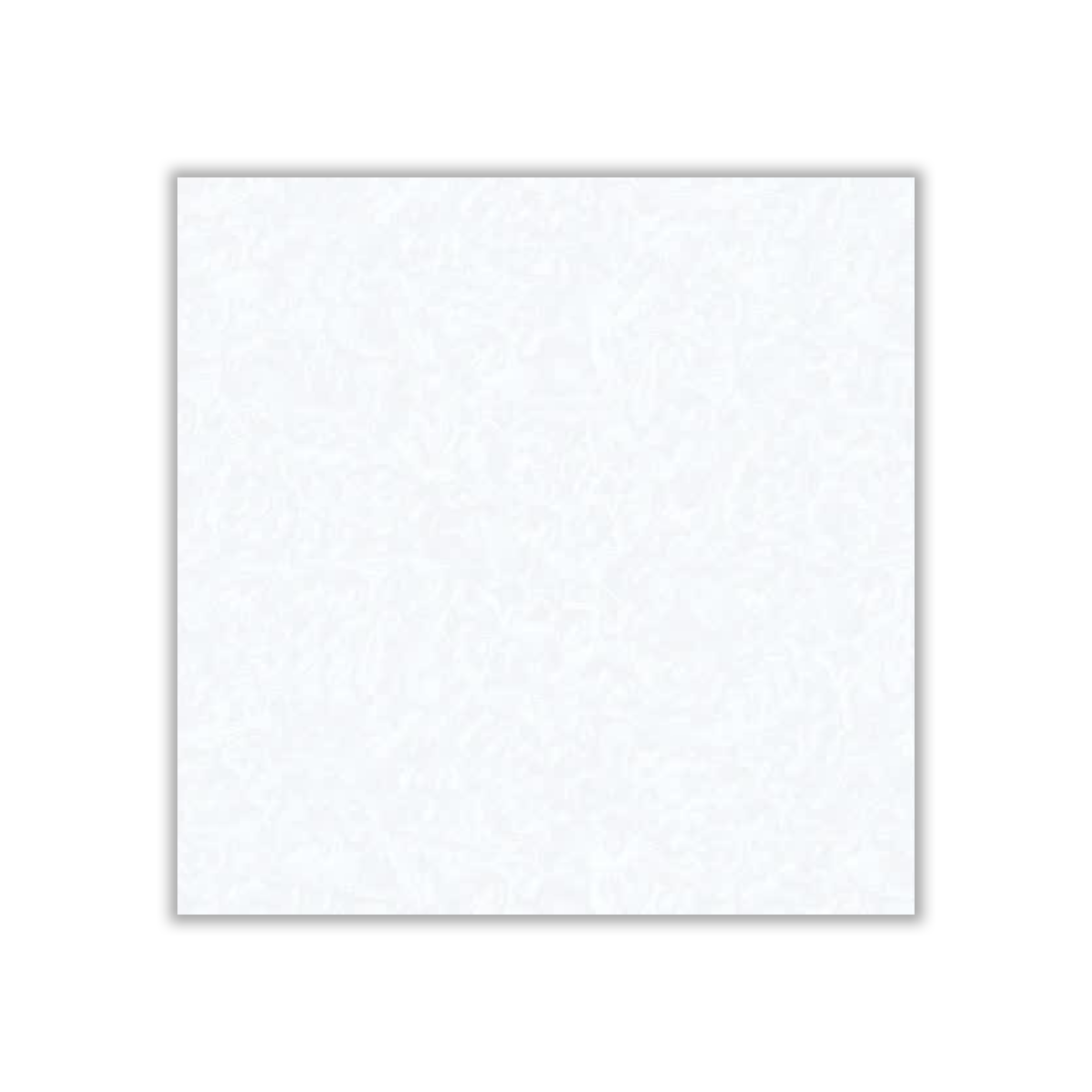 Hermes - 60x60 cm, Whitebody, 10, ‌BIIa (3-6%), Glossy