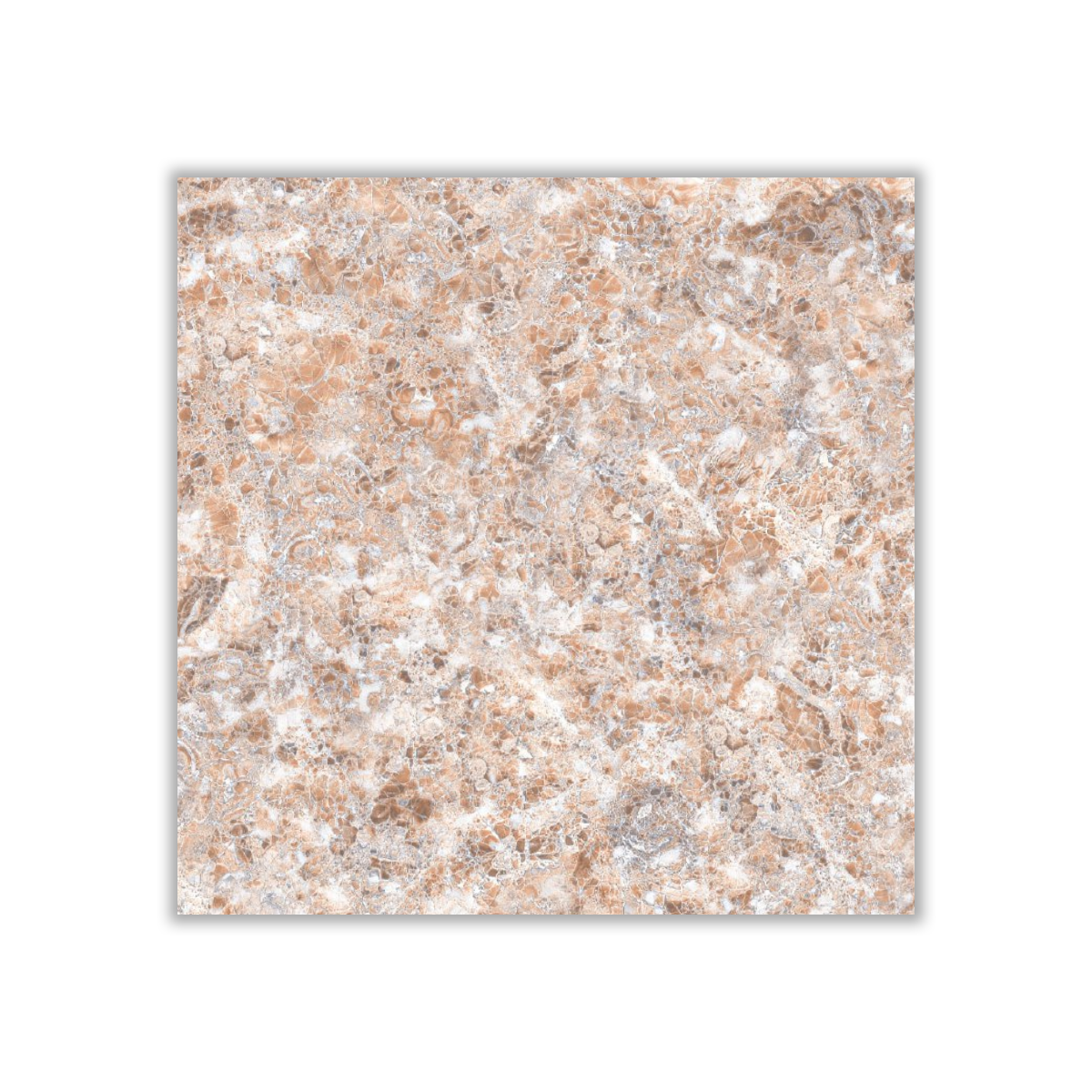 Royal Brown - 60x60 cm, Whitebody, 10, ‌BIIa (3-6%), Glossy