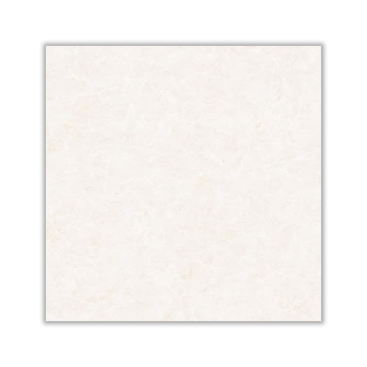 Rashenz - 80x80 cm, Whitebody, 11, ‌BIa (0-0.5%), Glossy