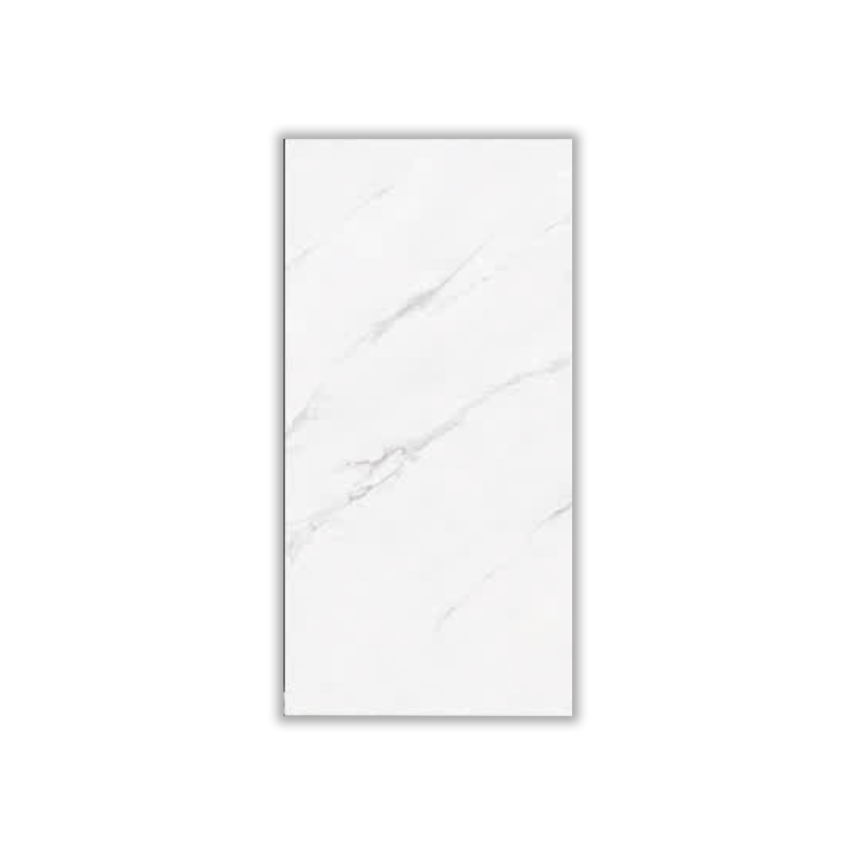 Jessica - 30x60 cm, Whitebody, 9, ‌BIIb (6-10%), Glossy