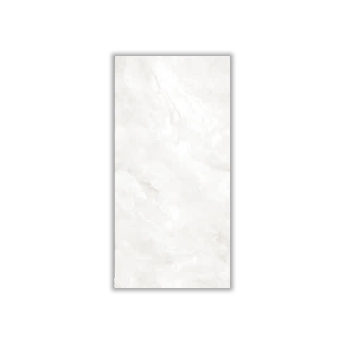 Elmira - 30x60 cm, Whitebody, 9, ‌BIIb (6-10%), Glossy