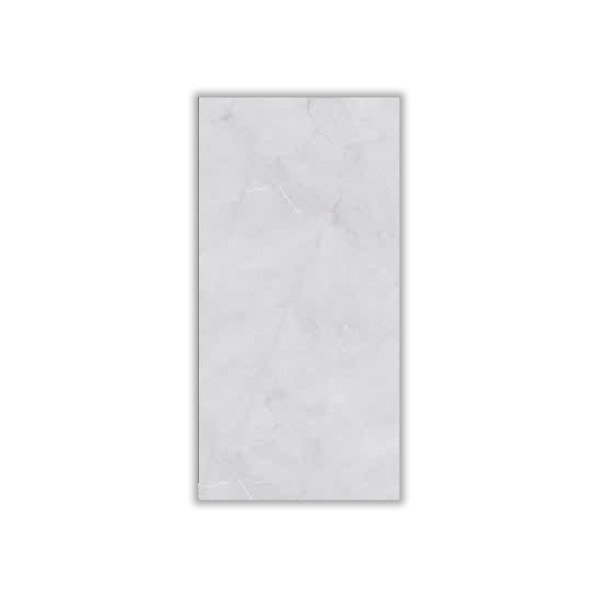 Borna Gray - 30x60 cm, Whitebody, 9, ‌BIIb (6-10%), Glossy