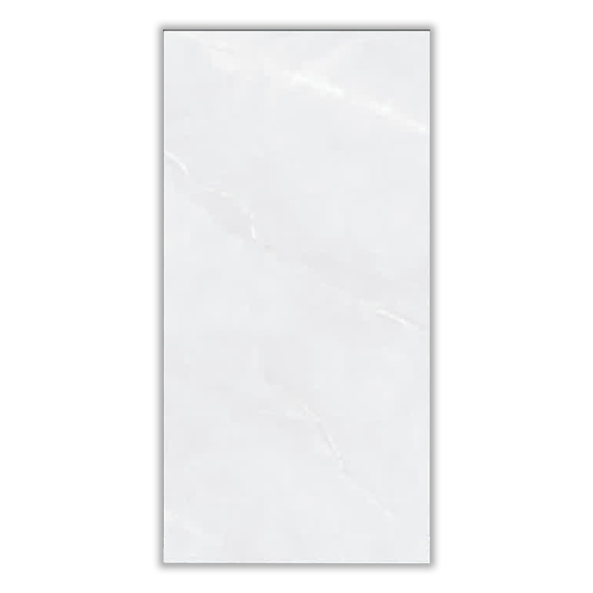 Selva Gray - 60x120 cm, Whitebody, 11, ‌BIIa (3-6%), Glossy