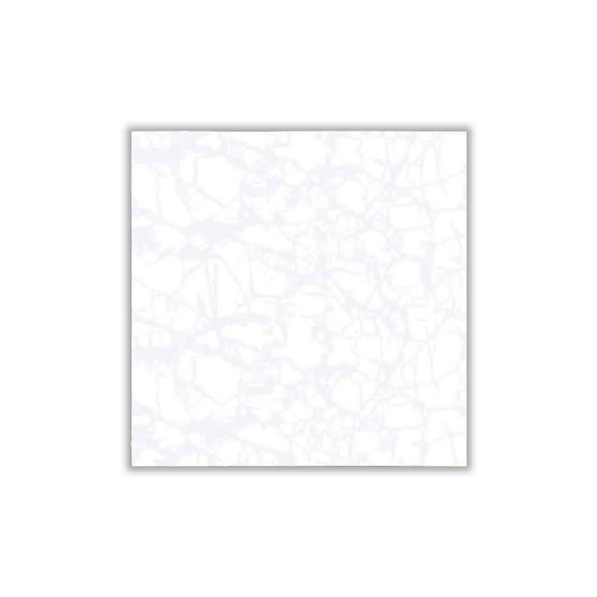 Gole yakh Silver - 30x30 cm, Redbody, 8, ‌BIIa (3-6%), Matt
