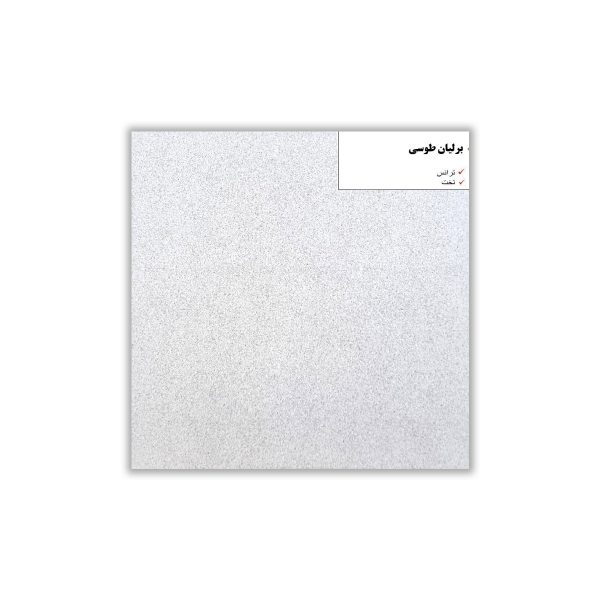 Berelian Gray - 30x30 cm, Whitebody, 9.5
